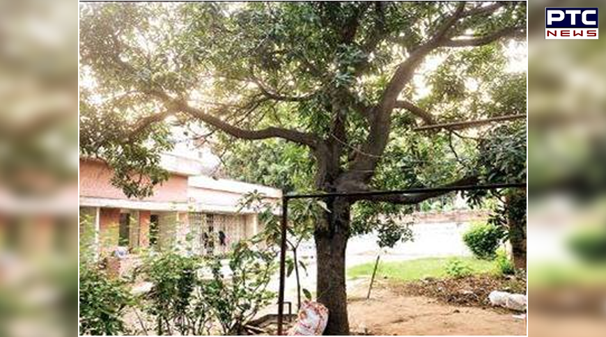 Chandigarh: Woman found hanging from tree in Sector 9