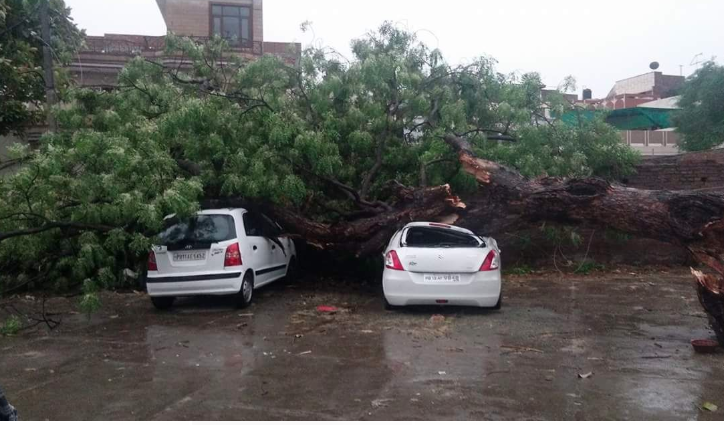 Dust storm uproots tree; damages two vehicles in Patiala