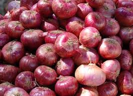 Wholesale prices of onions as low as 50 paise per kg in MP