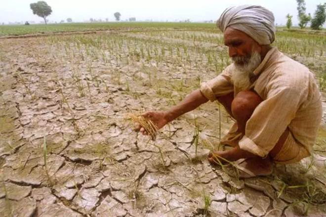 Punjab: 4 farmers take their lives in 24 hours due to debt