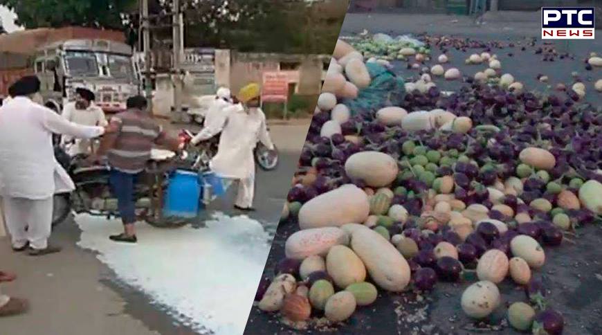 Farmers spill milk on the road during their 10 days 'Kisan Avkash' protest