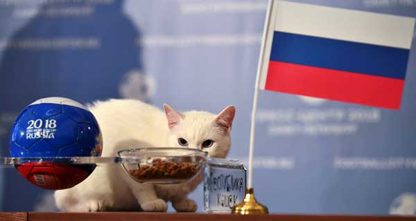 Russia to win first World Cup match, says clairvoyant cat