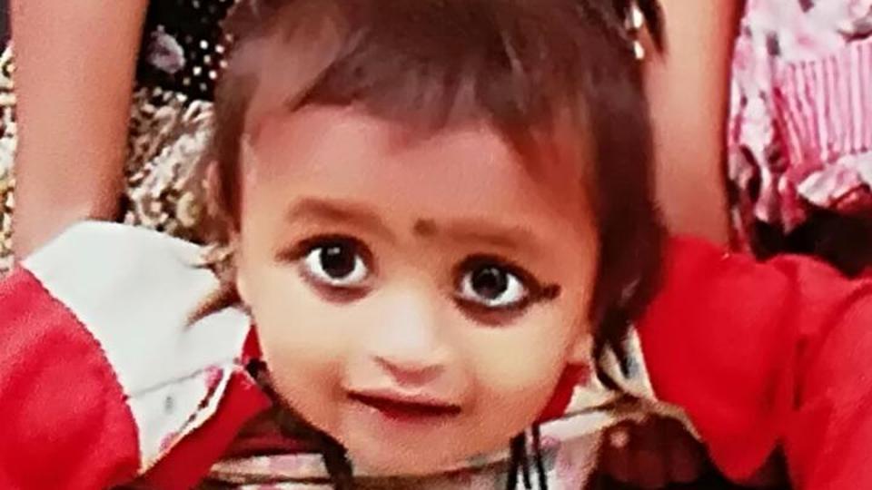 Toddler mauled to death: HC issues notice to Chandigarh Municipal Corporation