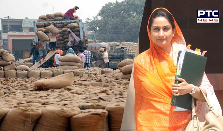 Announce Rs 100 per quintal paddy bonus if serious about boosting farmer earnings: Harsimrat to CM