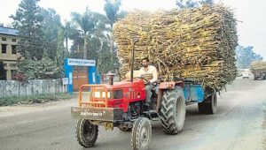 Sukhbir Badal Sugarcane Manufacturers Rs 350 per quintal SAP Demand