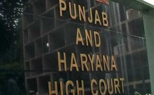 Panchayat Elections 2018 :  Punjab & Haryana HC directs dismissed candidates to give representation again