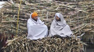 SAD 5 December sugarcane Farmers protest :Bikram Majithia