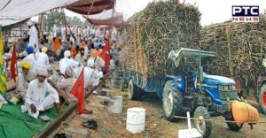 Partap Bajwa sugarcane Farmers Difficulties solve Should Rahul Gandhi :SAD