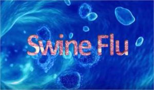 Mansa Swine flu Regarding One person Death