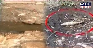 Kapurthala Village Bhandal Bet drain bomb