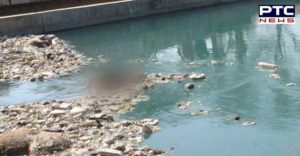 Fatehgarh Sahib Illness Upset young man Bhakra Canal Jump