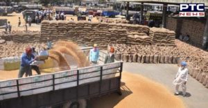 Malwa farmers Wheat Cheap prices Selling forced :Bikram Majithia