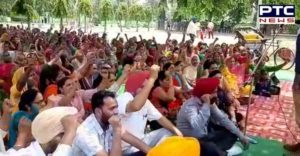 Democratic Employees Federation Punjab rally Patiala city protest 