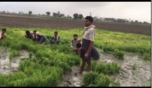 Karamjit Anmol Film 'Mindo Taseeldarni' Crazy migrant workers