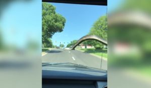KANSAS Snake hitches ride on windshield of car , Watch video