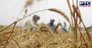 Capt Amarinder Singh Modi Government Rabi crops Price Demand