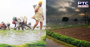 Punjab some areas Rain Including Heavy Hail ,Farmers Happy