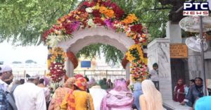 Sri Harmandir Sahib , Sri Akal Takht Sahib And Gurudwara Baba Atal Rai Sahib Ji Flower decoration