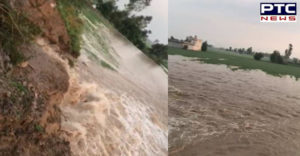 Sutlej River dhusi bandh Sultanpur Lodhi many villages Farmer crops Loss