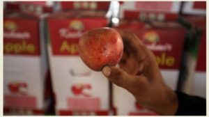 Jammu and Kashmir Shopian Apple traders From Punjab Shot Dead 
