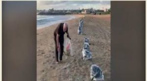 PM Modi Cleaning plogs during at Mamallapuram beach in Tamil Nadu