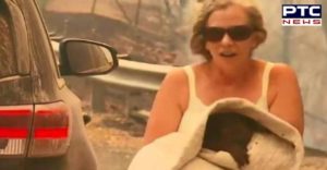 Woman Rescues Koala From Australian Bushfire Using Her Shirt, Hailed Hero