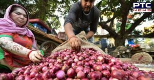 India Retail onion prices touch Rs 160/kg mark in some cities