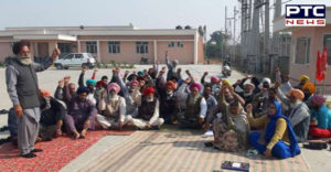 Salaries Not Receipt POWERCOM employees protest In Punjab