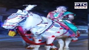 bride horse during marriage procession in bawani