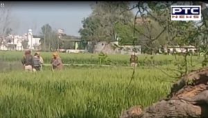 Deaf Dumb Minor Girl Rape After Murder In Village Talwan Near Phillaur, Recovered Deathbody