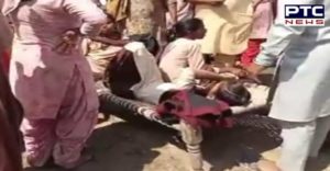 SchoolAutoAccident School children Auto Accident In Sri Muktsar Sahib, Many children Injured 1