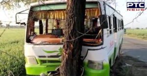 Faridkot Town Jaito Pilgrims Mini Bus Clash With Tree,8 seriously injured