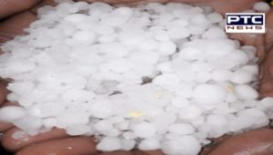 Weather: Heavy rain and hailstorms in Punjab and Chandigarh,Darkness during the day