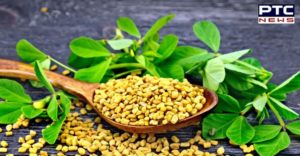 Health Benefits of fenugreek seeds and leaves