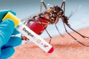 Dengue testing being done free in Haryana government labs