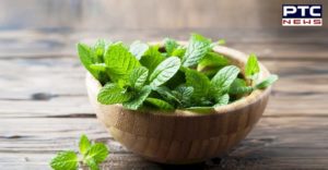 Health Benefits of mint