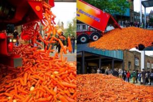 29 Tonnes Of Carrots Were Dumped On A London Street