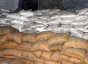 Moga: Depot holder Arrested Selling Government Wheat by Panchayat Member 