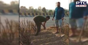 Farmers started planting vegetables on the highway in Delhi Morcha