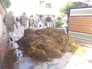 Cow dung dumped at BJP leader's house : Punjab CM orders repeal of Section 307 against youth, transfer of SHO