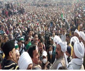 Farmers attend mahapanchayat in Muzaffarnagar । Rakesh tikait at Ghazipur border