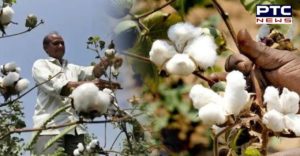 Pakistan's economic body lifts ban on import of cotton and yarn from India