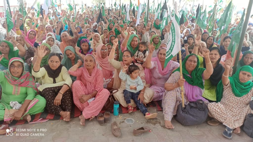 Women leaders to lead farmers' protests today Women's Day in barnala