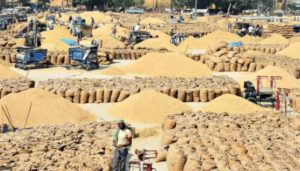 wheat procurement gets Underway from April 10, amid COVID-19 pandemic