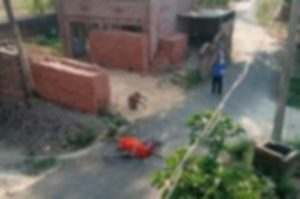 Elderly man carries wife dead body on bicycle after villagers refuse to allow cremation