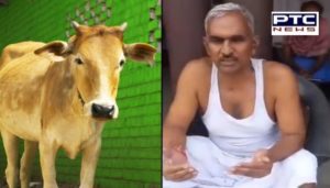 BJP MLA Surendra Singh gives a demonstration of drinking cow urine to keep away COVID-19