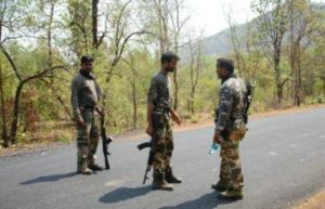 13 Naxals killed in encounter in Maharashtra's Gadchiroli, search operation underway