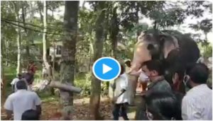 Elephant pays tribute to its mahout at his funeral in Kerala. Heartbreaking viral video