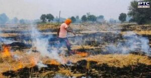 Paddy residue burning reduced in Punjab, Haryana, UP: Centre