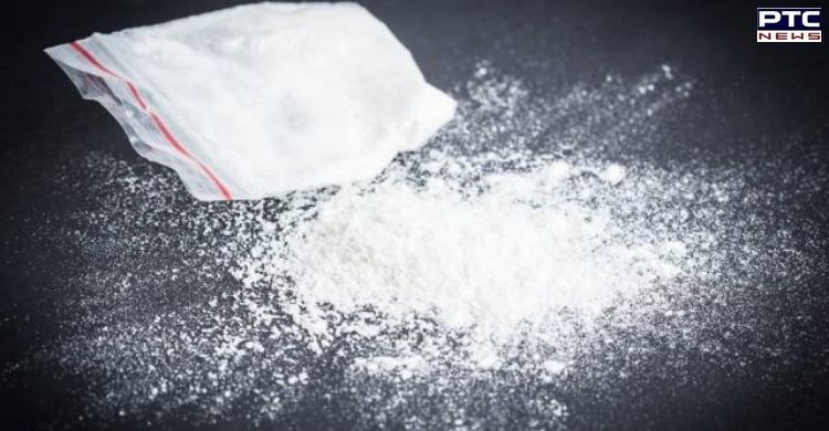 Punjab Police seizes 6.73 kg heroin near international border, arrests drug  smuggler
